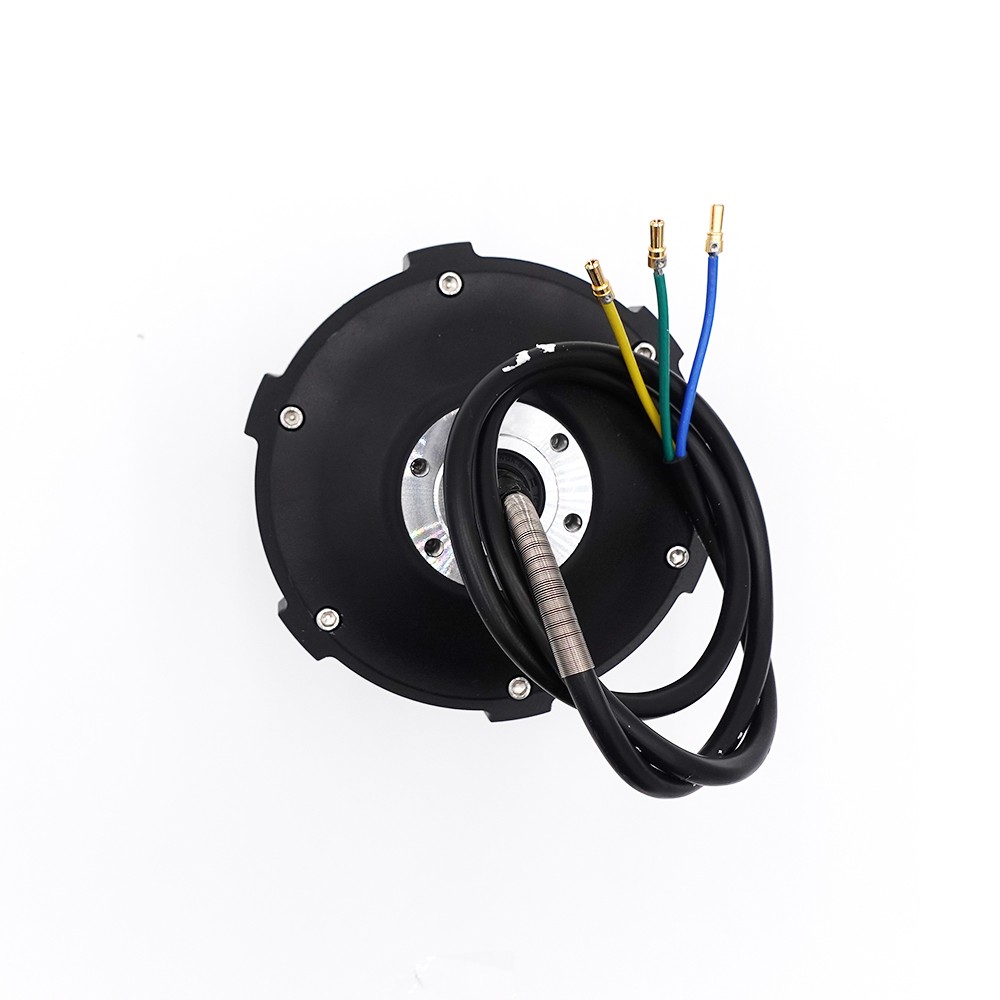 Motor fram - Dualtron Victor - Bild 2